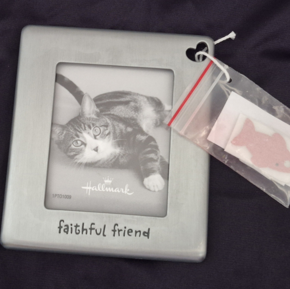 Hallmark Metallic Pet Frame